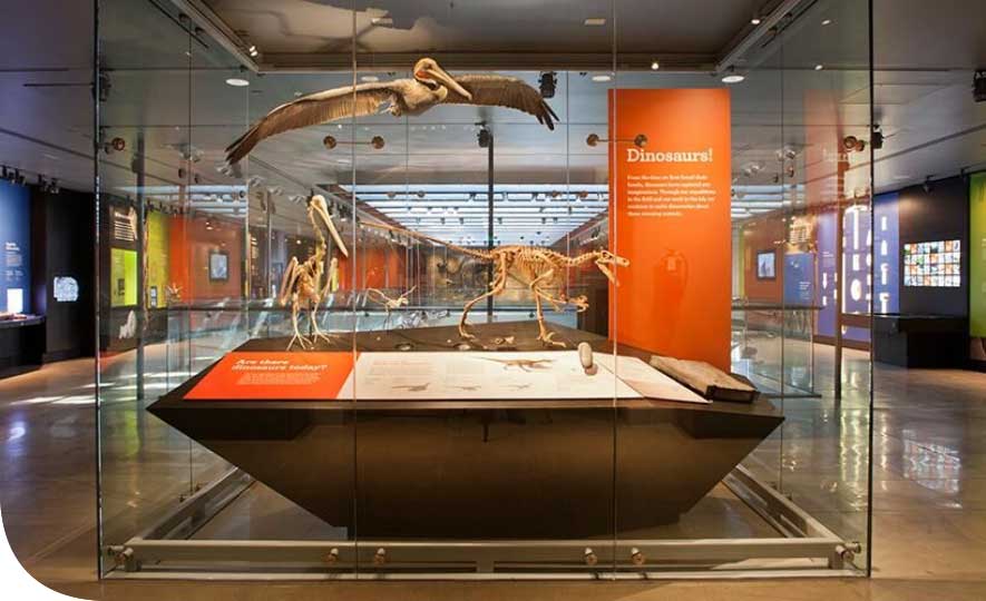 Indoor Museum Exhibit Laminate Signs