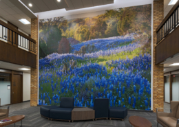 Killeen Metroplex Med. Plaza wall mural of "Bluebonnet" wildflowers