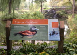 animal identity sign featuring a Duck
