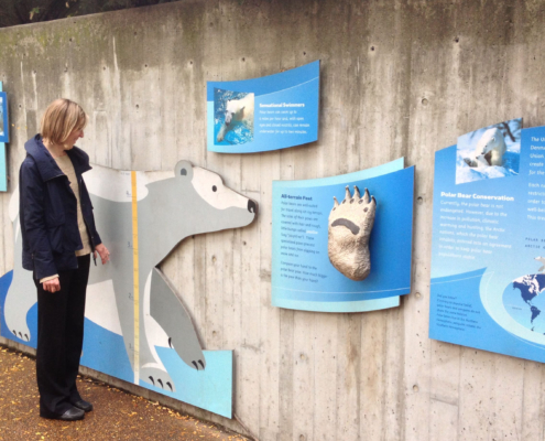 Woman standing next to large cut to shape polar bear sign with ruler
